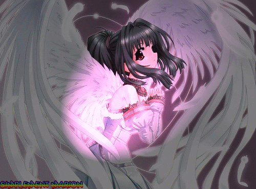 MANGA LUMIERE ROSE