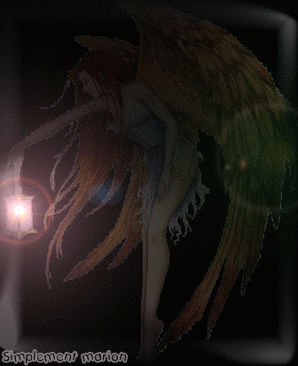 ELFE DE NUIT
